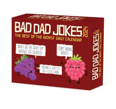 Willow Creek Press Bad Dad Jokes 2024 Box Calendar, 36150