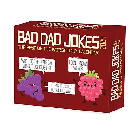 Willow Creek Press Bad Dad Jokes 2024 Box Calendar, 36150