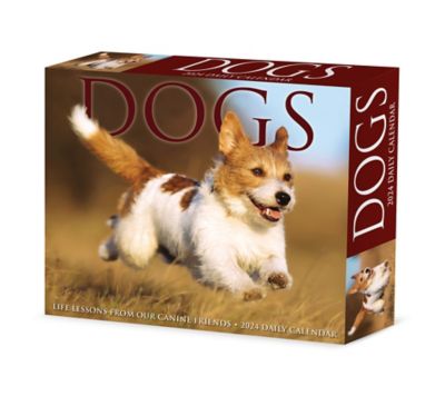 Willow Creek Press Dogs 2024 Box Calendar, 38703