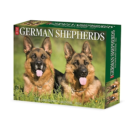 Willow Creek Press German Shepherds 2024 Box Calendar, 36334