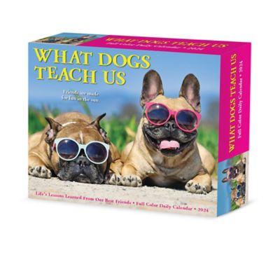 Willow Creek Press What Dogs Teach Us 2024 Box Calendar, 36600