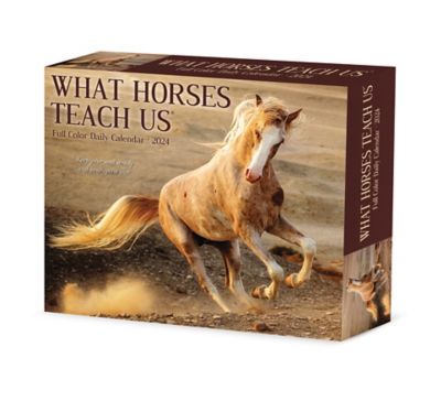 Willow Creek Press What Horses Teach Us 2024 Box Calendar, 36617
