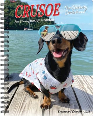 Willow Creek Press Crusoe the Celebrity Dachshund 2024 Engagement Calendar, 37843