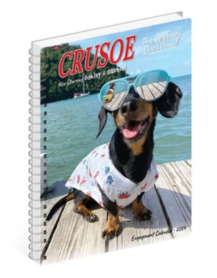 Willow Creek Press Crusoe the Celebrity Dachshund 2024 Engagement Calendar,  37843 at Tractor Supply Co.