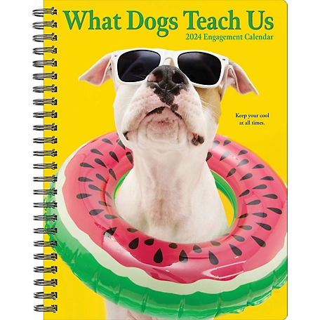 Willow Creek Press What Dogs Teach Us 2024 Engagement Calendar, 37928