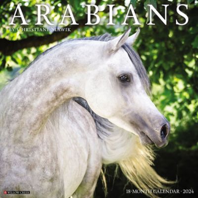 Willow Creek Press Arabians 2024 Wall Calendar, 32138