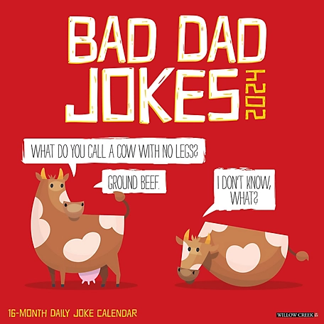 Willow Creek Press Bad Dad Jokes 2024 Wall Calendar, 32275