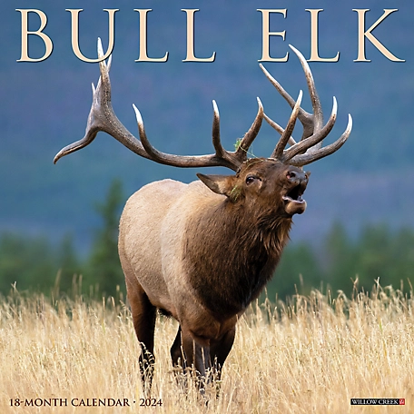 Willow Creek Press Bull Elk 2024 Wall Calendar, 32695