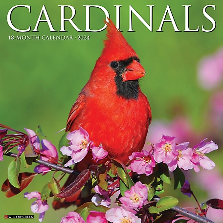 Willow Creek Press Cardinals 2024 Wall Calendar, 32848