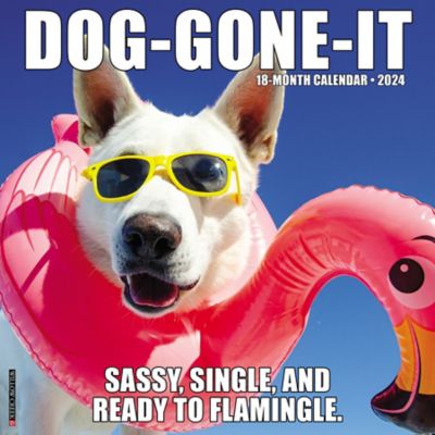 Willow Creek Press Dog-Gone-It 2024 Wall Calendar, 33364 at Tractor Supply  Co.