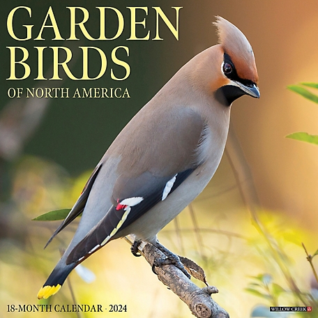 Willow Creek Press Garden Birds 2024 Wall Calendar, 33586