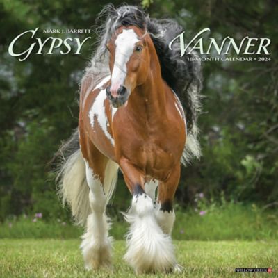Willow Creek Press Gypsy Vanner Horse 2024 Wall Calendar, 33845