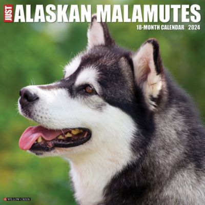 Willow Creek Press Just Alaskan Malamutes 2024 Wall Calendar, 32022 at  Tractor Supply Co.