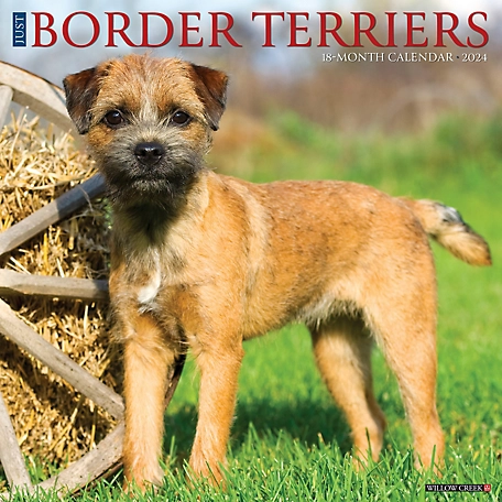 Willow Creek Press Just Border Terriers 2024 Wall Calendar, 32596