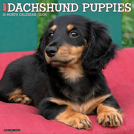 does anyone have the instructions guide for the dachshund set? : r