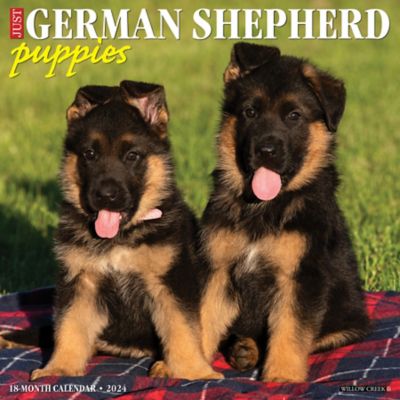 willow-creek-press-just-german-shepherd-puppies-2024-wall-calendar-33616-at-tractor-supply-co