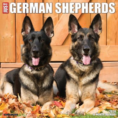 willow-creek-press-just-german-shepherds-2024-wall-calendar-33623-at-tractor-supply-co