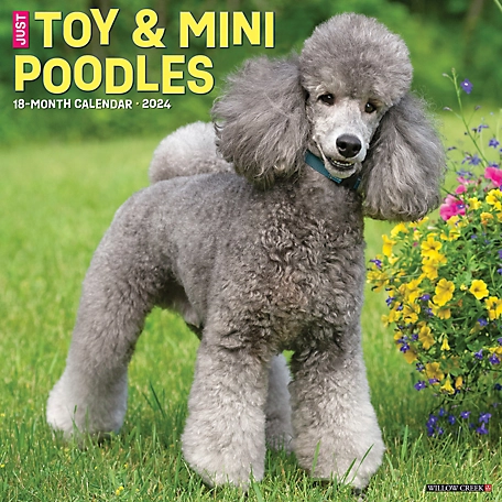 Willow Creek Press Just Toy & Miniature Poodles 2024 Wall Calendar, 35634