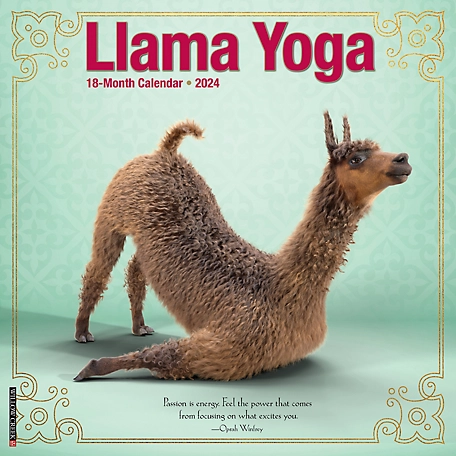 Willow Creek Press Llama Yoga 2024 Wall Calendar, 34316