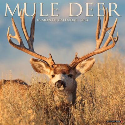 Willow Creek Press Mule Deer 2024 Wall Calendar, 34552