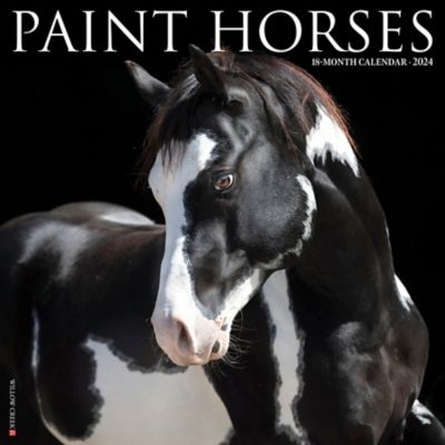 Willow Creek Press Paint Horses 2024 Wall Calendar, 34798