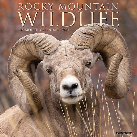Willow Creek Press Rocky Mountain Wildlife 2024 Wall Calendar, 35122