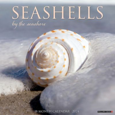 Willow Creek Press Seashells 2024 Wall Calendar 35269 At Tractor   2246255