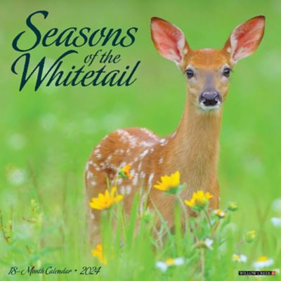 Willow Creek Press Seasons of the Whitetail 2024 Wall Calendar, 35283
