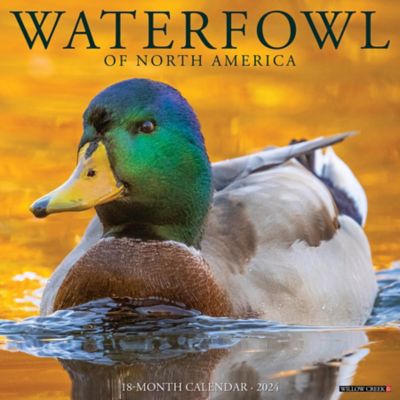 Willow Creek Press Waterfowl 2024 Wall Calendar, 35795