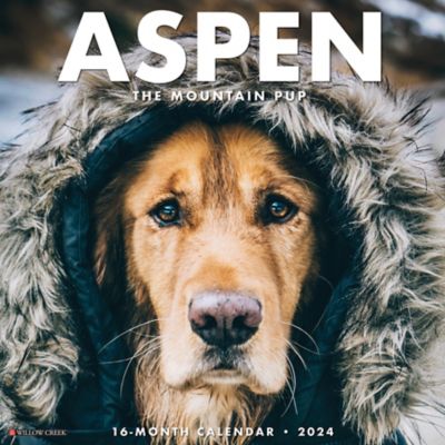Willow Creek Press Aspen the Mountain Pup 2024 Wall Calendar, 37270 at  Tractor Supply Co.