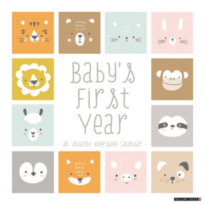 Willow Creek Press Baby's First Year Undated Wall Calendar, 37645