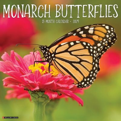 Willow Creek Press Monarch Butterflies 2024 Wall Calendar, 37713 at ...