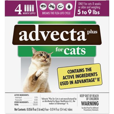 Advecta flea sale treatment