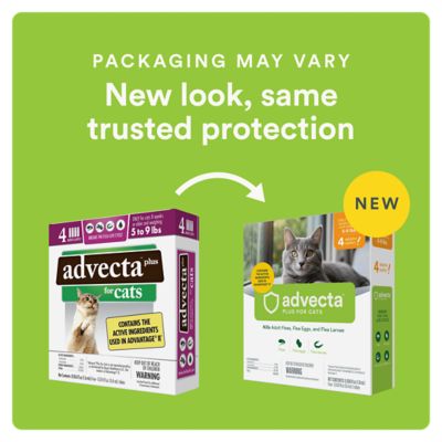 Image showing  Plus Flea and Tick Protection for Cats 5-9 lb., 4 ct.