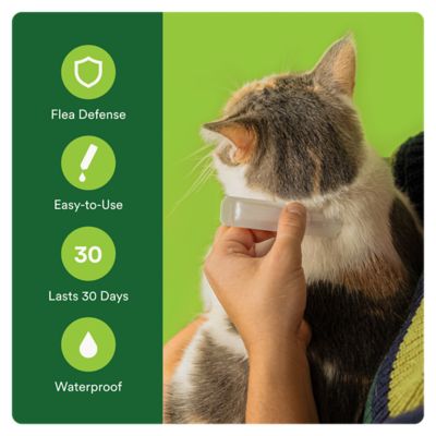 Image showing  Plus Flea and Tick Protection for Cats 5-9 lb., 4 ct.