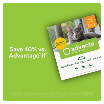 Image showing 7 th Advecta Plus Flea and Tick Protection for Cats 5-9 lb., 4 ct.