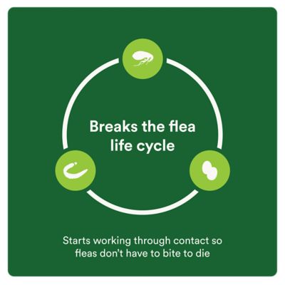 Image showing 6 th Advecta Plus Flea and Tick Protection for Cats 9 lb. and over, 4 ct.