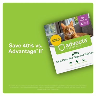 Image showing 7 th Advecta Plus Flea and Tick Protection for Cats 9 lb. and over, 4 ct.