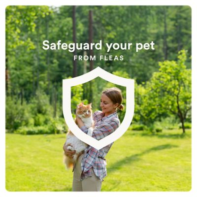 Image showing 8 th Advecta Plus Flea and Tick Protection for Cats 9 lb. and over, 4 ct.