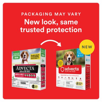 Image showing  Ultra Flea and Tick Protection for Medium Dogs 11-20 lb., 4 ct., 1333