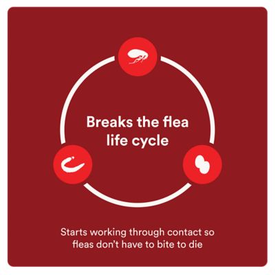 Image showing  Ultra Flea and Tick Protection for Medium Dogs 11-20 lb., 4 ct., 1333