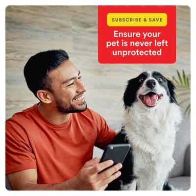 Image showing 6 th Advecta Ultra Flea and Tick Protection for Medium Dogs 11-20 lb., 4 ct., 1333