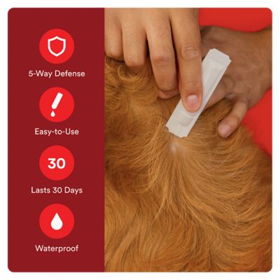 Image showing  Ultra Flea and Tick Protection for Large Dogs 21-55 lb., 4 ct., 1334