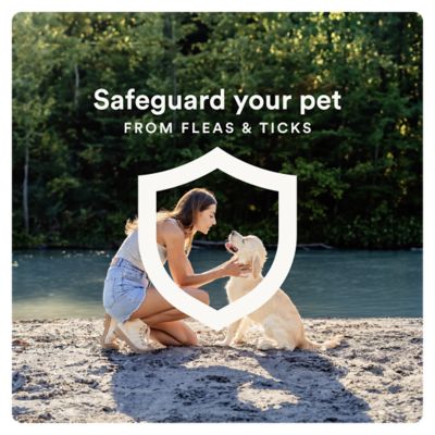 Image showing 6 th Advecta Ultra Flea and Tick Protection for Large Dogs 21-55 lb., 4 ct., 1334