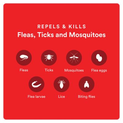 Image showing  Ultra Flea and Tick Protection for Extra-Large Dogs 55 lb. and Up, 4 ct.