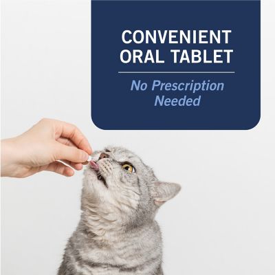 Image showing 5 th PetArmor Capaction Oral Flea Treatment Tablets for Cats 2-25 lb., 6 ct.