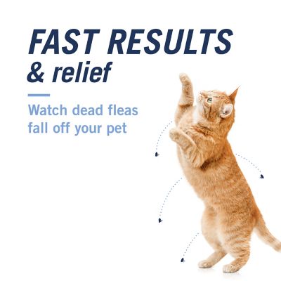 Image showing 7 th PetArmor Capaction Oral Flea Treatment Tablets for Cats 2-25 lb., 6 ct.