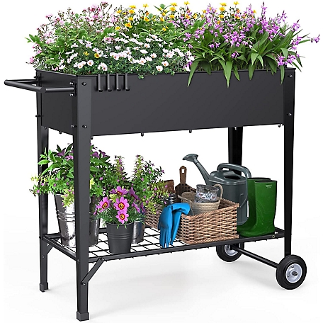 Mossy Horn Mobile Raised Garden Bed with Wheels, BFPLG-GB001