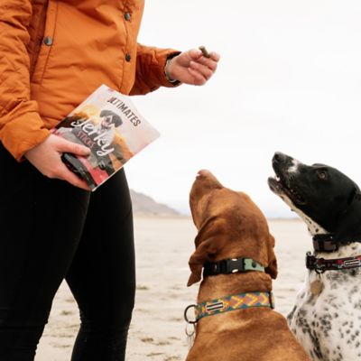 Image showing  Jerky Beef Sticks Grain-Free Dog Treats