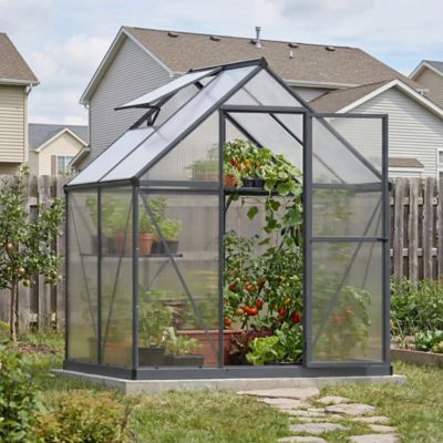 Image showing 9 th Canopia by Palram 6 L x 4 W ft. Gray Mythos Greenhouse